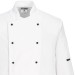 Somerset Chefs Jacket - C834