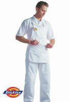 Dickies Painters Bib & Brace -  WD650