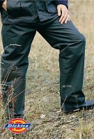 Dickies Wax Trousers - WX15100