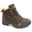 Hiker Safety Boots