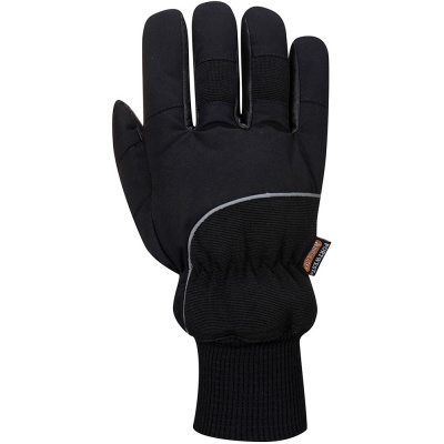 Portwest Apacha Cold Store Thermal Glove - A751