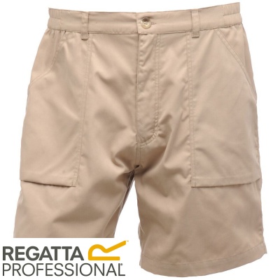 Regatta Action Water Repellent Shorts - TRJ332