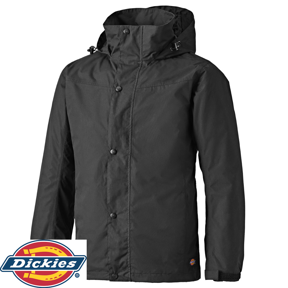 dickies coat